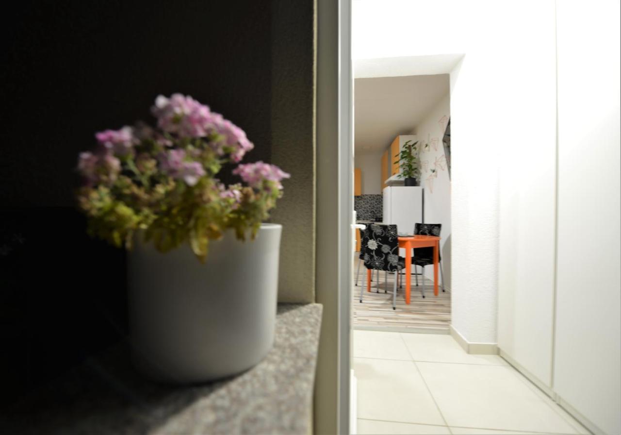 Pop&Rock Holiday House Zadar Buitenkant foto